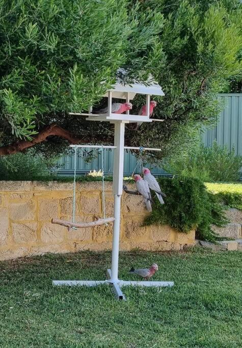 Shabby Chic Shack - 2 Bedroom Beach Cottage Yanchep Eksteriør bilde